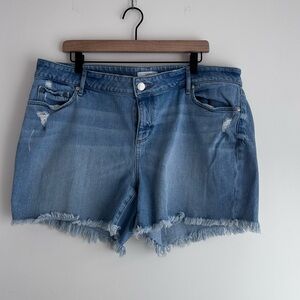 LOFT Women's Shorts Light Blue